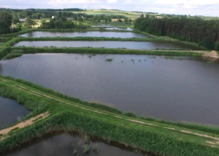 Nad Stawami Ii - Gospodarstwo Rybackie Jaworznik