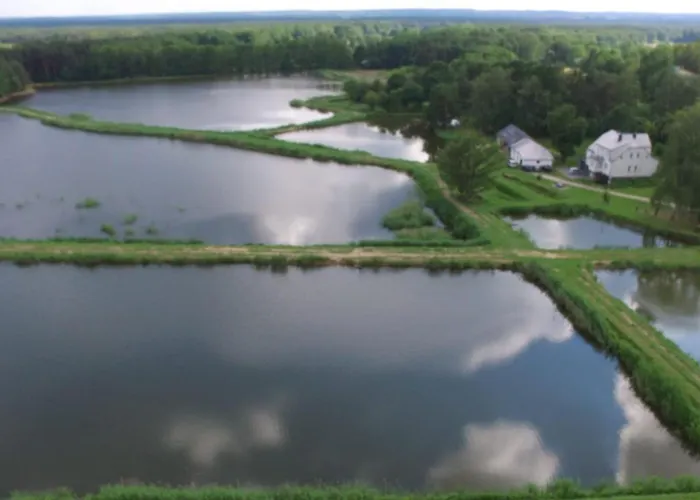 Nad Stawami Ii - Gospodarstwo Rybackie